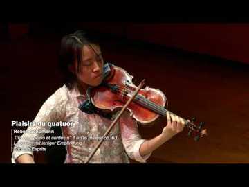 Schumann | Trio les Esprits : Trio pour piano et cordes n° 1 en ré mineur op. 63