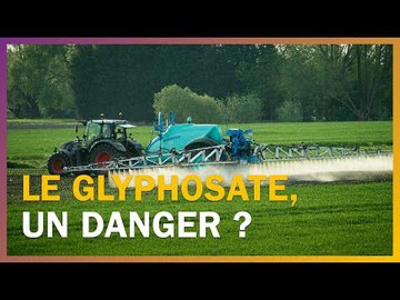 Le glyphosate est-il dangereux pour la santé ?