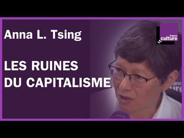 Anna L. Tsing : les ruines du capitalisme