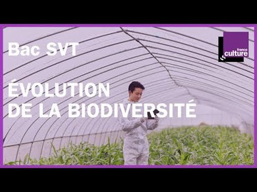 BAC SVT révisions - Évolution de la biodiversité