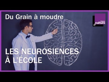 Les neurosciences sont-elles trop présentes à l'école ?